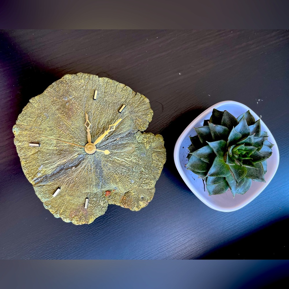 Rare Pyrite Sun Disc ✨